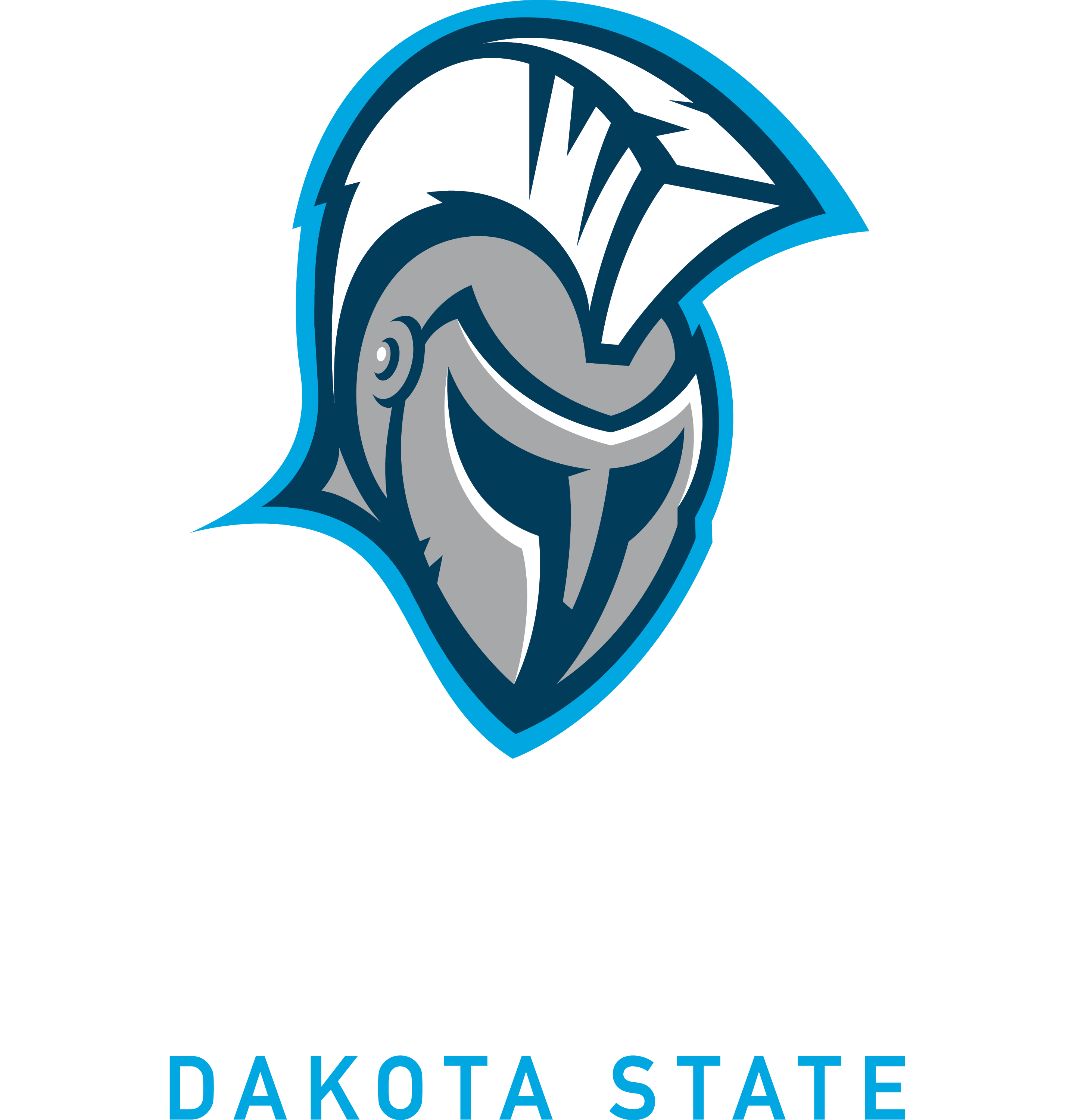 Dakota State University Diploma Frames