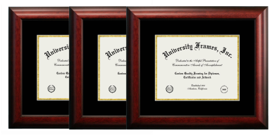 THREE 8 x 10 Document Frames Unimprinted Matboard Satin Mahogany Black & Gold