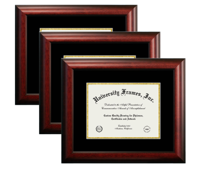 THREE 7 x 9 Document Frames Unimprinted Matboard Satin Mahogany Black & Gold