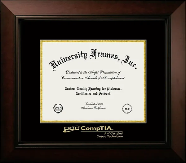Professional License Frame