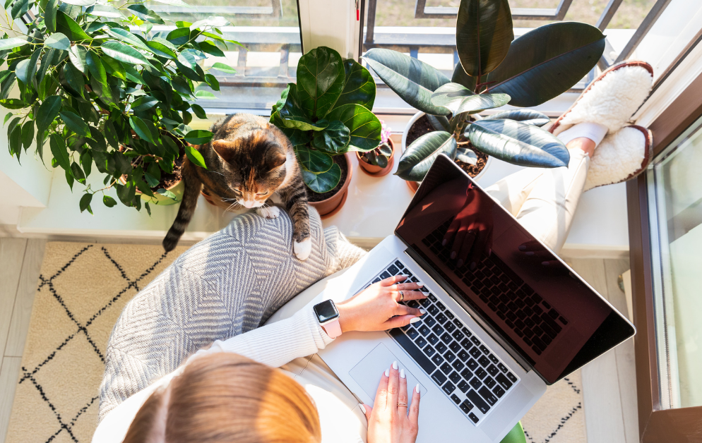 consider freelance work