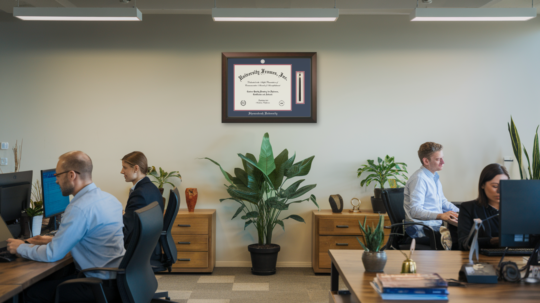 Diploma Frame -Frame Your Achievements