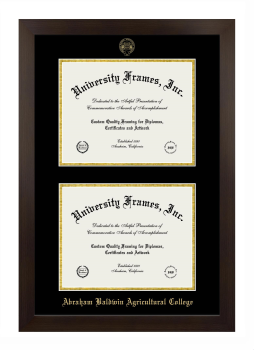 Abraham Baldwin Agricultural College Double Degree (Stacked) Frame in Manhattan Espresso with Black & Gold Mats for DOCUMENT: 8 1/2"H X 11"W  , DOCUMENT: 8 1/2"H X 11"W  