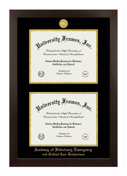 Academy of Veterinary Emergency and Critical Care Technicians Double Degree (Stacked) Frame in Manhattan Espresso with Black & Gold Mats for DOCUMENT: 8 1/2"H X 11"W  , DOCUMENT: 8 1/2"H X 11"W  