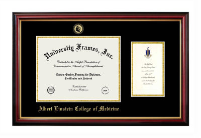 Albert Einstein College of Medicine Diploma with Announcement Frame in Petite Mahogany with Gold Trim with Black & Gold Mats for document: 8 1/2"h x 11"w  , diploma: 7"h x 4"w  