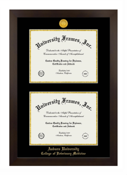Auburn University College of Veterinary Medicine Double Degree (Stacked) Frame in Manhattan Espresso with Black & Gold Mats for DOCUMENT: 8 1/2"H X 11"W  , DOCUMENT: 8 1/2"H X 11"W  