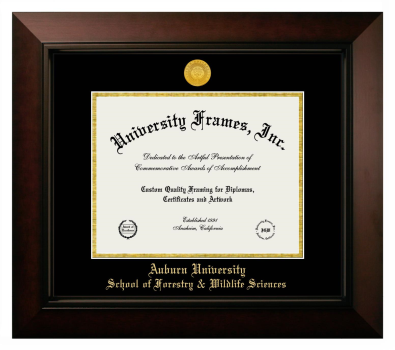 Auburn University School of Forestry & Wildlife Sciences Diploma Frame in Legacy Black Cherry with Black & Gold Mats for DOCUMENT: 8 1/2"H X 11"W  