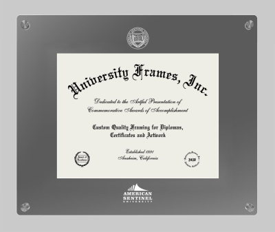 American Sentinel University Lucent Clear-over-Smoke Frame in Lucent Smoke Moulding with Lucent Smoke Mat for DOCUMENT: 8 1/2"H X 11"W  