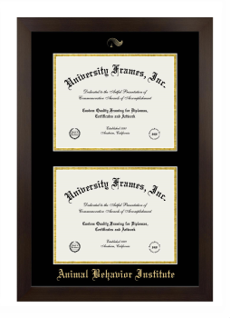 Animal Behavior Institute Double Degree (Stacked) Frame in Manhattan Espresso with Black & Gold Mats for document: 8 1/2"h x 11"w  , document: 8 1/2"h x 11"w  