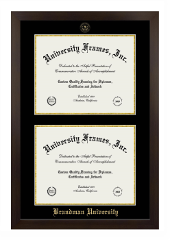 Double Degree (Stacked) Frame in Manhattan Espresso with Black & Gold Mats for DOCUMENT: 11"H X 14"W  , DOCUMENT: 11"H X 14"W  