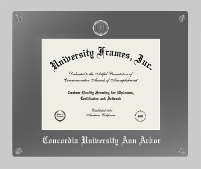 Concordia University Ann Arbor Lucent Clear-over-Smoke Frame in Lucent Smoke Moulding with Lucent Smoke Mat for document: 8 1/2"h x 11"w  