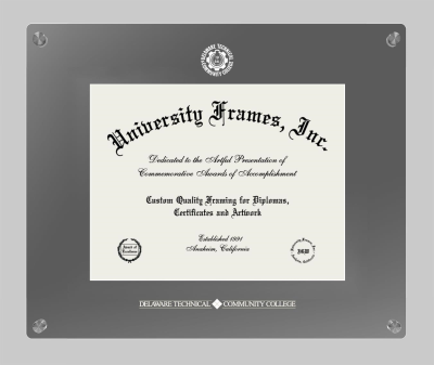 Delaware Technical Community College Lucent Clear-over-Smoke Frame in Lucent Smoke Moulding with Lucent Smoke Mat for document: 8 1/2"h x 11"w  