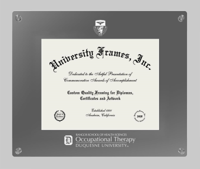 Duquesne University Rangos School of Health Sciences Occupational Therapy Lucent Clear-over-Smoke Frame in Lucent Smoke Moulding with Lucent Smoke Mat for document: 8 1/2"h x 11"w  