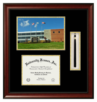 Edward Via Virginia College of Osteopathic Medicine Double Opening with Campus Image & Tassel Box (Stacked) Frame in Avalon Mahogany with Black & Gold Mats for document: 8 1/2"h x 11"w  