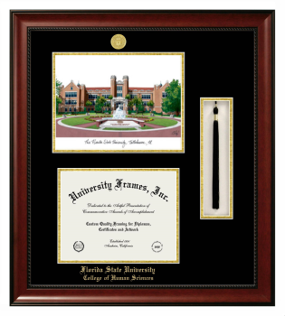 Florida State University College of Human Sciences Double Opening with Campus Image & Tassel Box (Stacked) Frame in Avalon Mahogany with Black & Gold Mats for document: 8 1/2"h x 11"w  