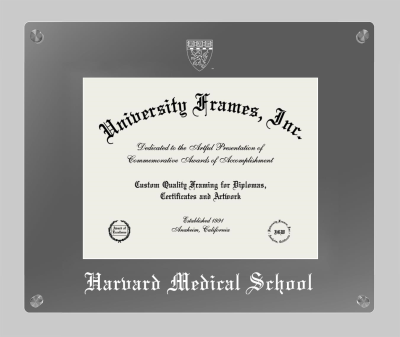 Harvard Medical School Lucent Clear-over-Smoke Frame in Lucent Smoke Moulding with Lucent Smoke Mat for DOCUMENT: 8 1/2"H X 11"W  