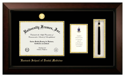 Harvard School of Dental Medicine Diploma with Announcement & Tassel Box Frame in Legacy Black Cherry with Black & Gold Mats for document: 8 1/2"h x 11"w  , diploma: 7"h x 4"w  