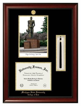 Michigan State University College of Law Double Opening with Campus Image & Tassel Box (Stacked) Frame in Avalon Mahogany with Black & Gold Mats for document: 8 1/2"h x 11"w  