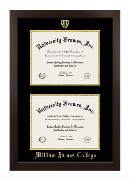 William James College Double Degree (Stacked) Frame in Manhattan Espresso with Black & Gold Mats for document: 8 1/2"h x 11"w  , document: 8 1/2"h x 11"w  