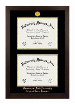 Mississippi State University College of Forest Resources Double Degree (Stacked) Frame in Manhattan Espresso with Black & Gold Mats for document: 8 1/2"h x 11"w  , document: 8 1/2"h x 11"w  
