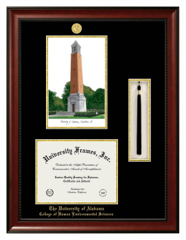 University of Alabama (Tuscaloosa) College of Human Environmental Sciences Double Opening with Campus Image & Tassel Box (Stacked) Frame in Avalon Mahogany with Black & Gold Mats for document: 8 1/2"h x 11"w  