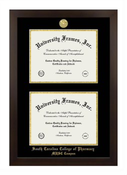 South Carolina College of Pharmacy MUSC Campus Double Degree (Stacked) Frame in Manhattan Espresso with Black & Gold Mats for document: 8 1/2"h x 11"w  , document: 8 1/2"h x 11"w  