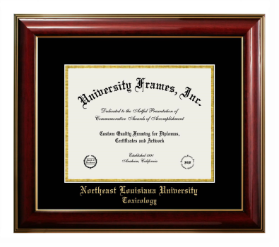 Northeast Louisiana University Toxicology Diploma Frame in Classic Mahogany with Gold Trim with Black & Gold Mats for DOCUMENT: 8 1/2"H X 11"W  