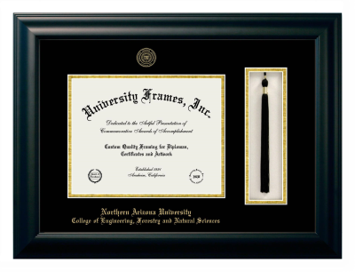 Northern Arizona University College of Engineering, Forestry and Natural Sciences Diploma with Tassel Box Frame in Satin Black with Black & Gold Mats for DOCUMENT: 8 1/2"H X 11"W  