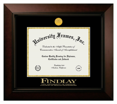 University of Findlay College of Health Professions Diploma Frame in Legacy Black Cherry with Black & Gold Mats for DOCUMENT: 8 1/2"H X 11"W  