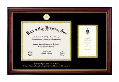 University of Hawai'i at Hilo College of Agriculture Forestry and Natural Resource Management Diploma with Announcement Frame in Petite Mahogany with Gold Trim with Black & Gold Mats for document: 8 1/2"h x 11"w  , diploma: 7"h x 4"w  