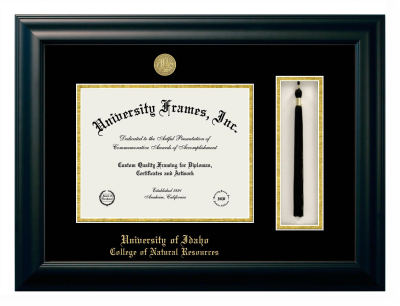 University of Idaho College of Natural Resources Diploma with Tassel Box Frame in Satin Black with Black & Gold Mats for DOCUMENT: 8 1/2"H X 11"W  
