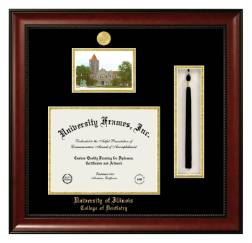 University of Illinois College of Dentistry Double Opening with Campus Image & Tassel Box (Stacked) Frame in Avalon Mahogany with Black & Gold Mats for document: 8 1/2"h x 11"w  