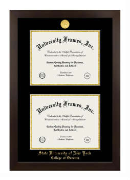 State University of New York College at Oneonta Double Degree (Stacked) Frame in Manhattan Espresso with Black & Gold Mats for document: 8 1/2"h x 11"w  , document: 8 1/2"h x 11"w  