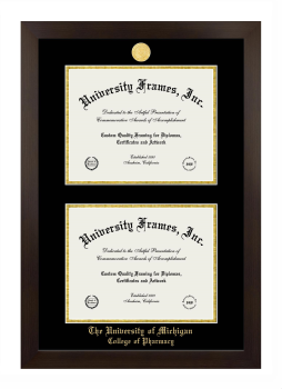 University of Michigan College of Pharmacy Double Degree (Stacked) Frame in Manhattan Espresso with Black & Gold Mats for document: 8 1/2"h x 11"w  , document: 8 1/2"h x 11"w  