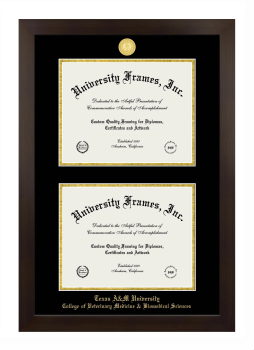 Texas A&M University College of Veterinary Medicine & Biomedical Sciences Double Degree (Stacked) Frame in Manhattan Espresso with Black & Gold Mats for document: 8 1/2"h x 11"w  , document: 8 1/2"h x 11"w  