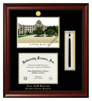 Texas A&M University Transition Academic Programs Double Opening with Campus Image & Tassel Box (Stacked) Frame in Avalon Mahogany with Black & Gold Mats for document: 8 1/2"h x 11"w  