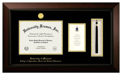 University of Missouri College of Agriculture, Food and Natural Resources Diploma with Announcement & Tassel Box Frame in Legacy Black Cherry with Black & Gold Mats for document: 8 1/2"h x 11"w  , diploma: 7"h x 4"w  