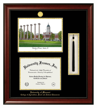 University of Missouri College of Agriculture, Food and Natural Resources Double Opening with Campus Image & Tassel Box (Stacked) Frame in Avalon Mahogany with Black & Gold Mats for document: 8 1/2"h x 11"w  