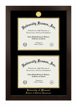 University of Missouri School of Natural Resources Double Degree (Stacked) Frame in Manhattan Espresso with Black & Gold Mats for document: 8 1/2"h x 11"w  , document: 8 1/2"h x 11"w  