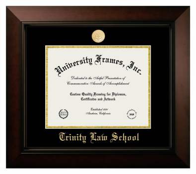 Trinity Law School (of Trinity International University) Diploma Frame in Legacy Black Cherry with Black & Gold Mats for document: 8 1/2"h x 11"w  