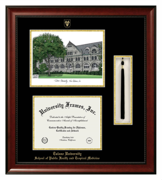 Tulane University School of Public Health and Tropical Medicine Double Opening with Campus Image & Tassel Box (Stacked) Frame in Avalon Mahogany with Black & Gold Mats for document: 8 1/2"h x 11"w  