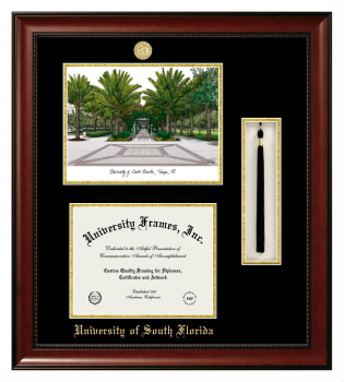 University of South Florida Double Opening with Campus Image & Tassel Box (Stacked) Frame in Avalon Mahogany with Black & Gold Mats for DOCUMENT: 8 1/2"H X 11"W  
