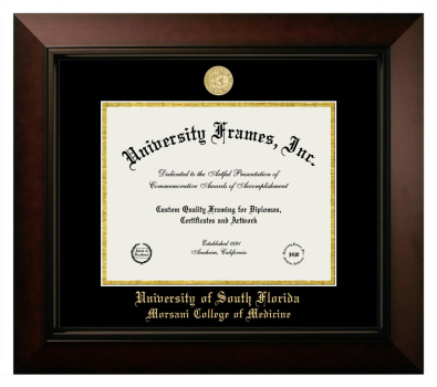 University of South Florida Morsani College of Medicine Diploma Frame in Legacy Black Cherry with Black & Gold Mats for document: 8 1/2"h x 11"w  