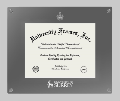 University of Surrey Lucent Clear-over-Smoke Frame in Lucent Smoke Moulding with Lucent Smoke Mat for document: 8 1/2"h x 11"w  