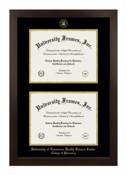 University of Tennessee Health Science Center College of Pharmacy Double Degree (Stacked) Frame in Manhattan Espresso with Black & Gold Mats for document: 8 1/2"h x 11"w  , document: 8 1/2"h x 11"w  