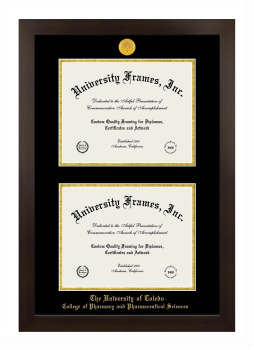 University of Toledo College of Pharmacy and Pharmaceutical Sciences Double Degree (Stacked) Frame in Manhattan Espresso with Black & Gold Mats for document: 8 1/2"h x 11"w  , document: 8 1/2"h x 11"w  