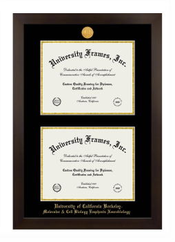 University of California Berkeley Molecular & Cell Biology Emphasis Neurobiology Double Degree (Stacked) Frame in Manhattan Espresso with Black & Gold Mats for document: 8 1/2"h x 11"w  , document: 8 1/2"h x 11"w  