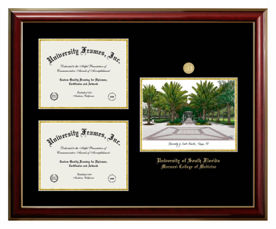 University of South Florida Morsani College of Medicine Triple Opening with Campus Image Frame in Classic Mahogany with Gold Trim with Black & Gold Mats for document: 8 1/2"h x 11"w  , document: 8 1/2"h x 11"w  