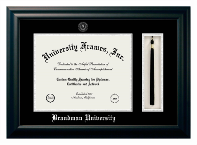 Diploma with Tassel Box Frame in Satin Black with Black & Silver Mats for DOCUMENT: 11"H X 14"W  