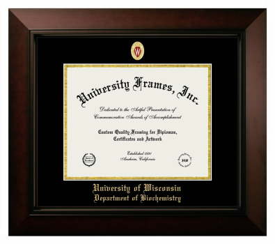University of Wisconsin (Madison) Department of Biochemistry Diploma Frame in Legacy Black Cherry with Black & Gold Mats for DOCUMENT: 8 1/2"H X 11"W  